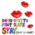  Абложка альбома - Рингтон David Guetta, Raye - Stay (Dont Go Away)  