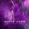  Абложка альбома - Рингтон LXE - Дикий кайф  