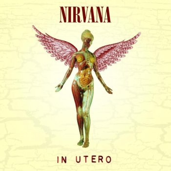  Абложка альбома - Рингтон Nirvana - Rape Me  