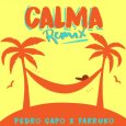  Абложка альбома - Рингтон Pedro Capo & Farruko - Calma (Remix)  