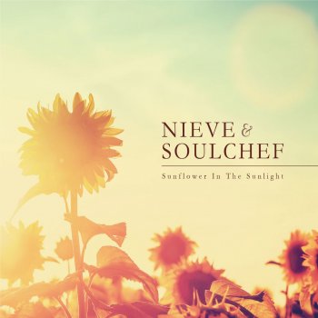  Абложка альбома - Рингтон Soulchef - Write This Down (feat. Nieve)  